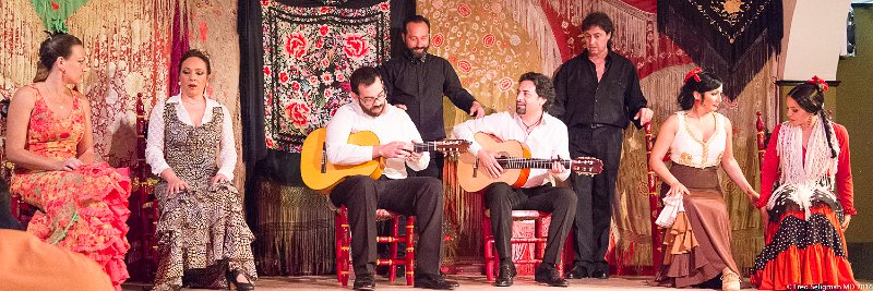 20160607_212136 D4S (1).jpg - Flamenco musicians, Madrid